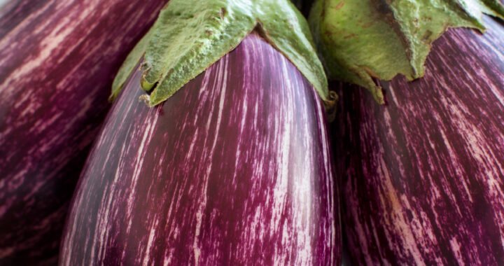 Beneficios y recetas saludables con berenjena: ¡Descubre sus propiedades y deliciosas preparaciones!