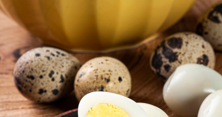 Huevos de codorniz: beneficios recetas y usos en la cocina