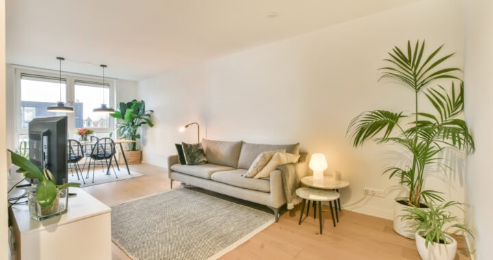 Salones decorados: Inspírate con estas ideas de diseño