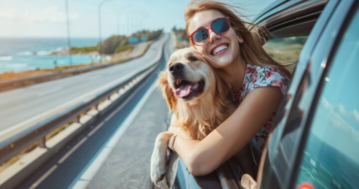 Consejos y recomendaciones para viajar con mascotas de manera segura y cómoda