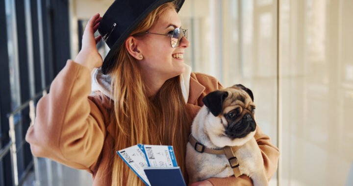 Mascotas en avión: Todo lo que necesitas saber para viajar con tu compañero peludo