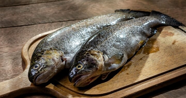 Todo lo que debes saber sobre la trucha: características hábitat y beneficios para la salud