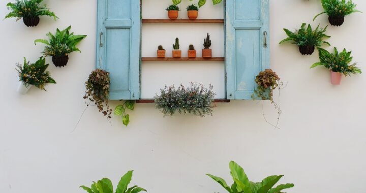 Ideas creativas para decorar la pared de tu patio exterior