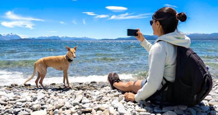 Consejos para viajar con perro: todo lo que debes saber para un viaje sin estrés