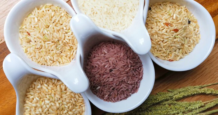 Los mejores arroces: recetas, consejos y variedades para disfrutar en casa