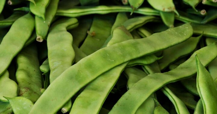 Recetas saludables con judías verdes: descubre cómo cocinar este delicioso vegetal