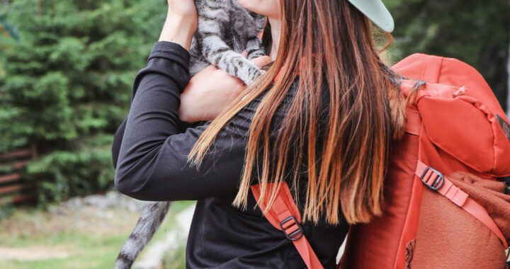 Todo lo que necesitas saber sobre viajar con mascotas: requisitos y trámites