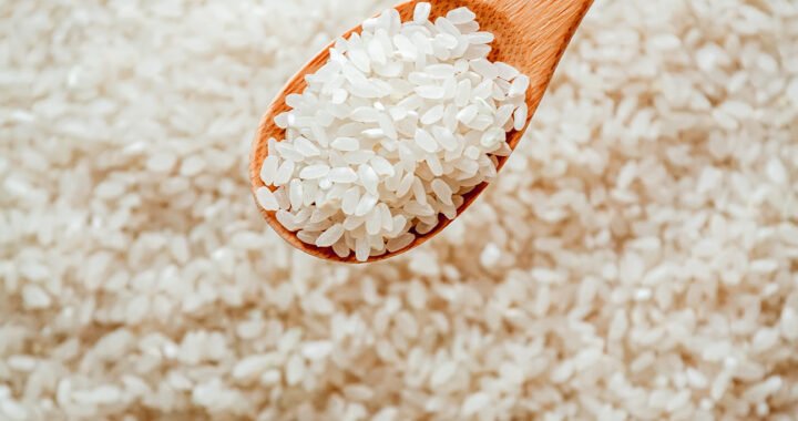 Todo sobre el arroz arborio: origen propiedades y recetas del arroz italiano
