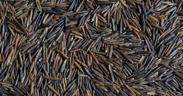 Todo lo que debes saber sobre el delicioso arroz salvaje: beneficios recetas y más