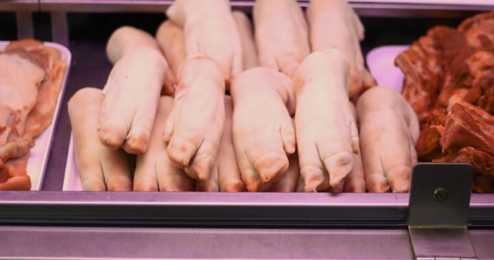 Manitas de cerdo: recetas deliciosas y tradicionales para disfrutar en casa